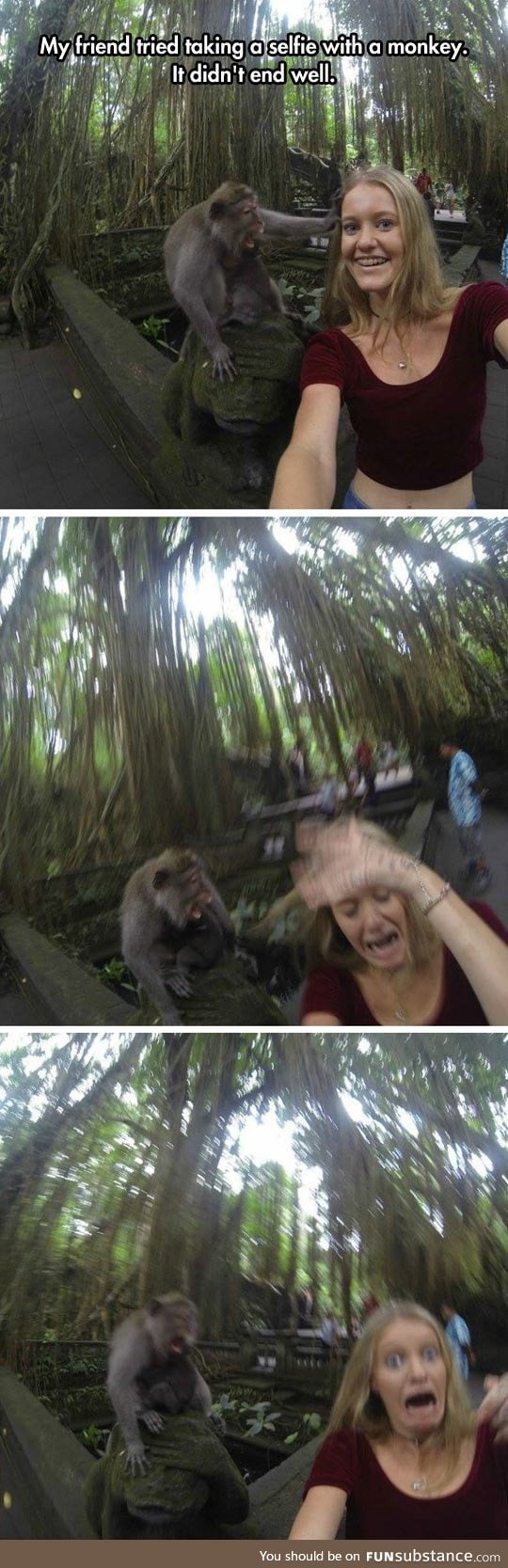 When your monkey selfie goes wrong