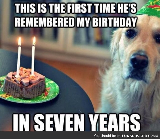 A dog's life