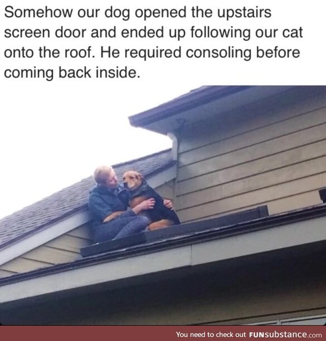 She was traumatized