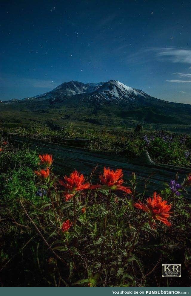 37 years after a devastating eruption