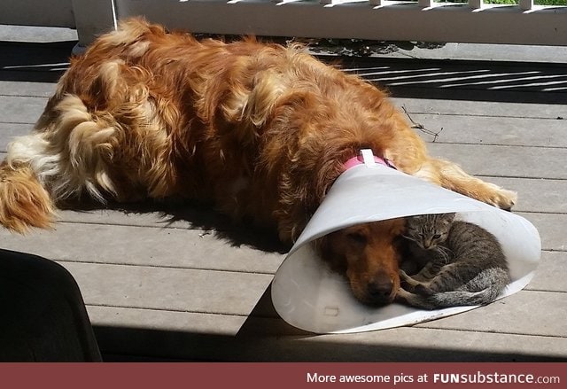 Nice to have a buddy when you're pissed off