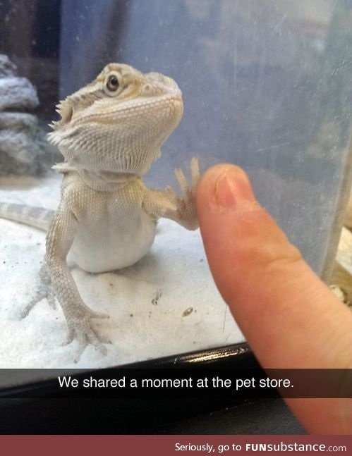 Me every time I go to PetSmart