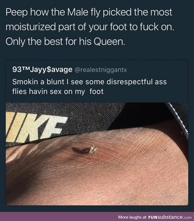 Caring fly