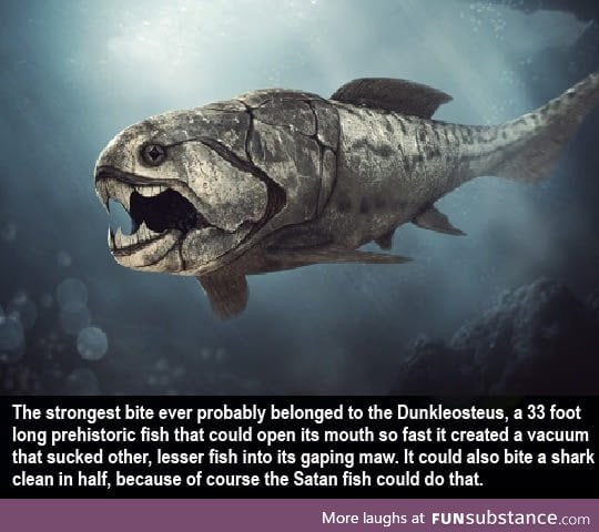 Big fishy nope
