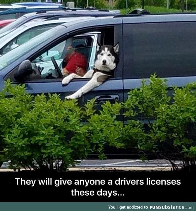 Drivers now a days