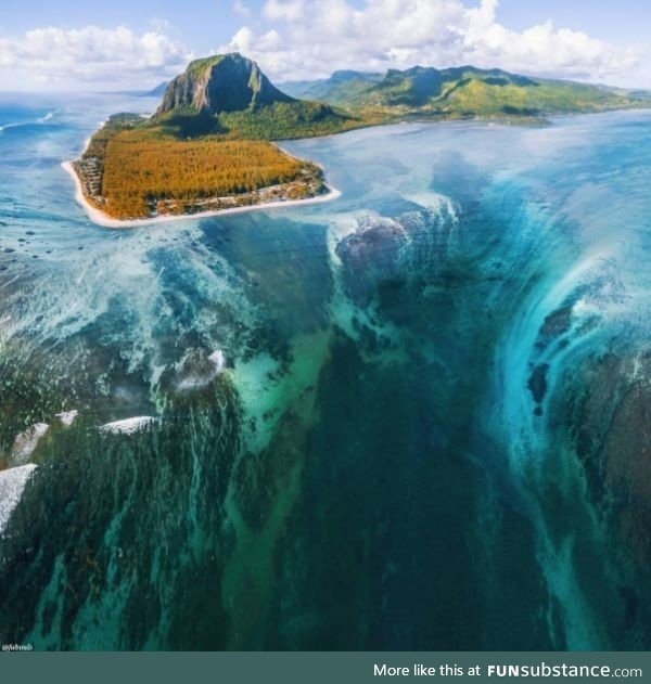 An optical illusion caused by seaweed and underwater plants