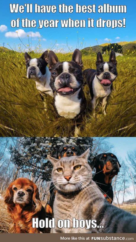 3BTs (stands for 3 Boston Terriers) vs PBs (P*ssy B*tches)