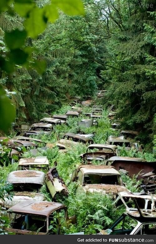 Abandoned cars in the Ardennes