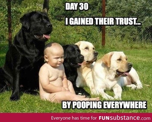 Day 30
