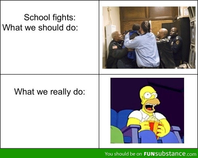 School fights