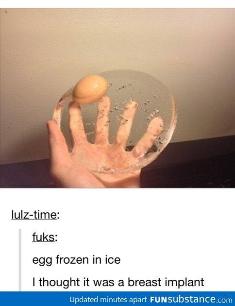 Egg frozen in ice