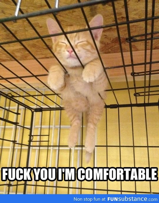I'll sleep wherever I want