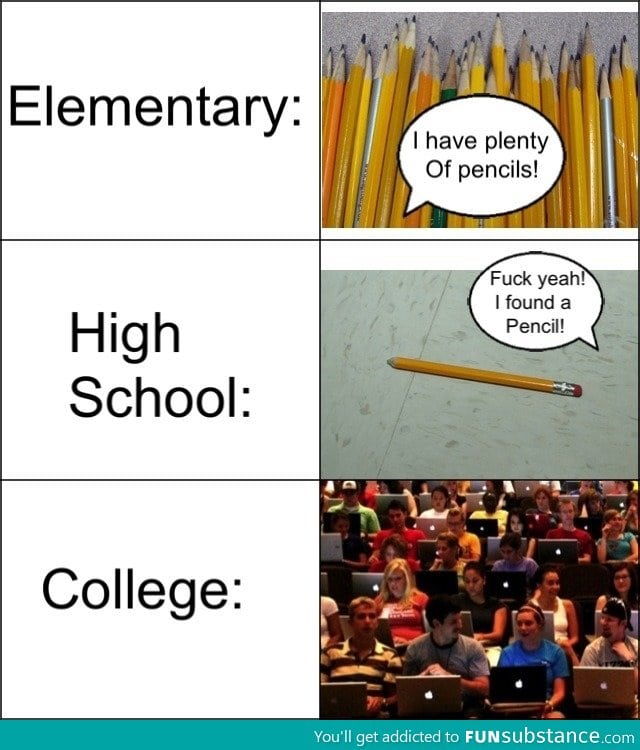 School evolution