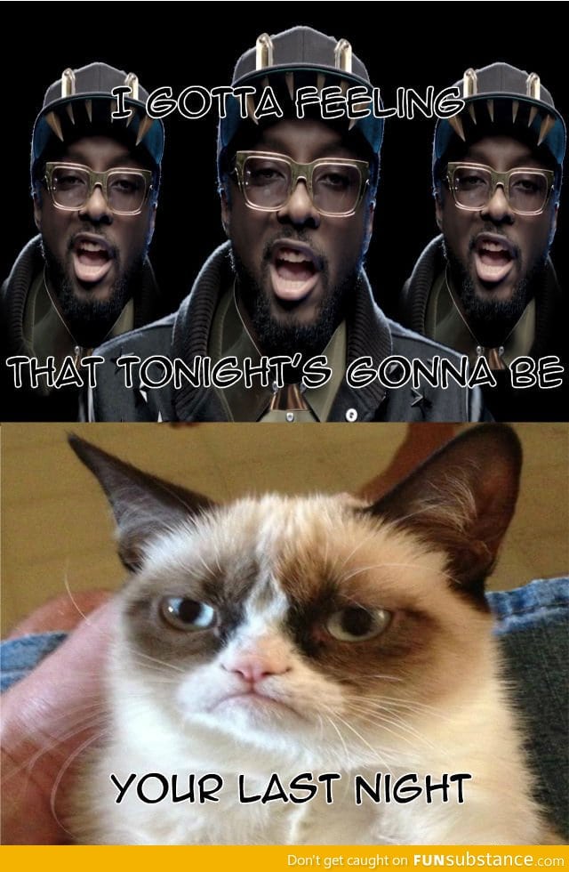Grumpy cat's gotta a feeling