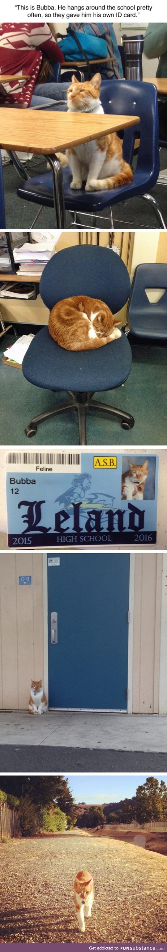 This is bubba