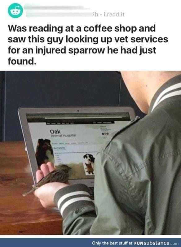 To the rescue
