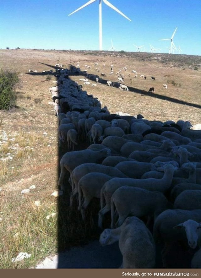 Shadow of windmill