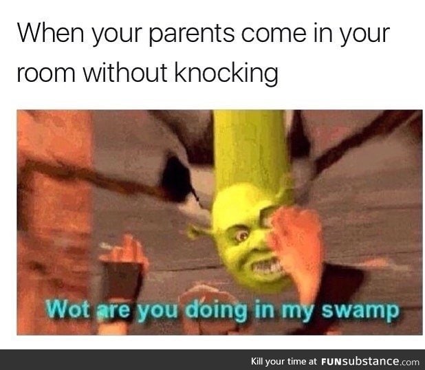 Donkey