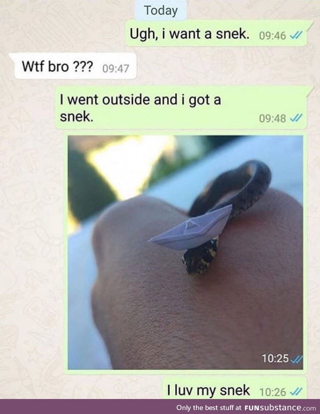 I didn't choose the snek, the snek chose me
