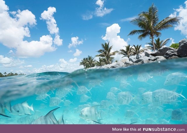 Jupiter inlet, florida