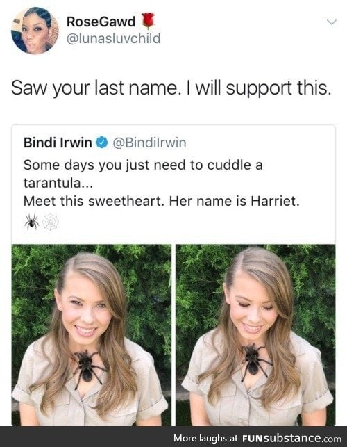Irwin's are brave people