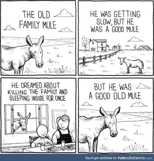 Old mule got a dream