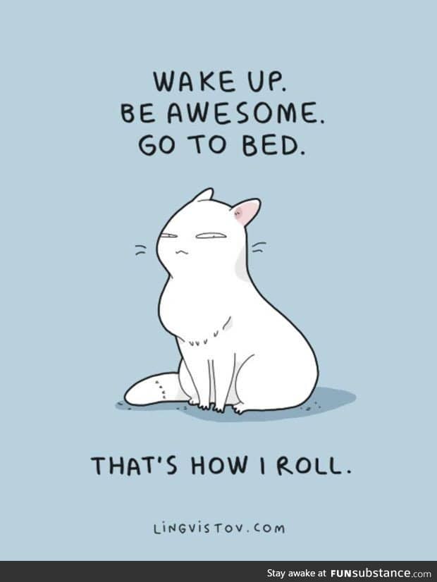 Be like a cat, not like a furry tho