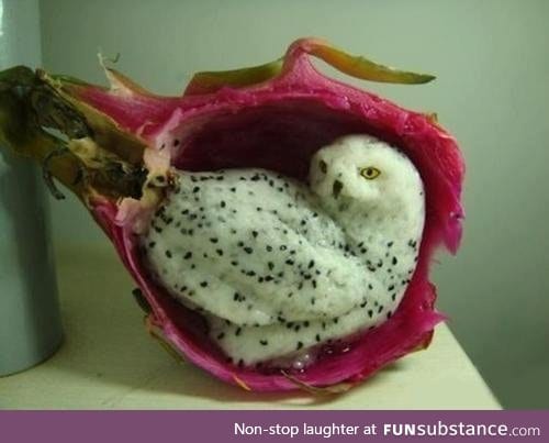 someone carved this out of a dragonfruit