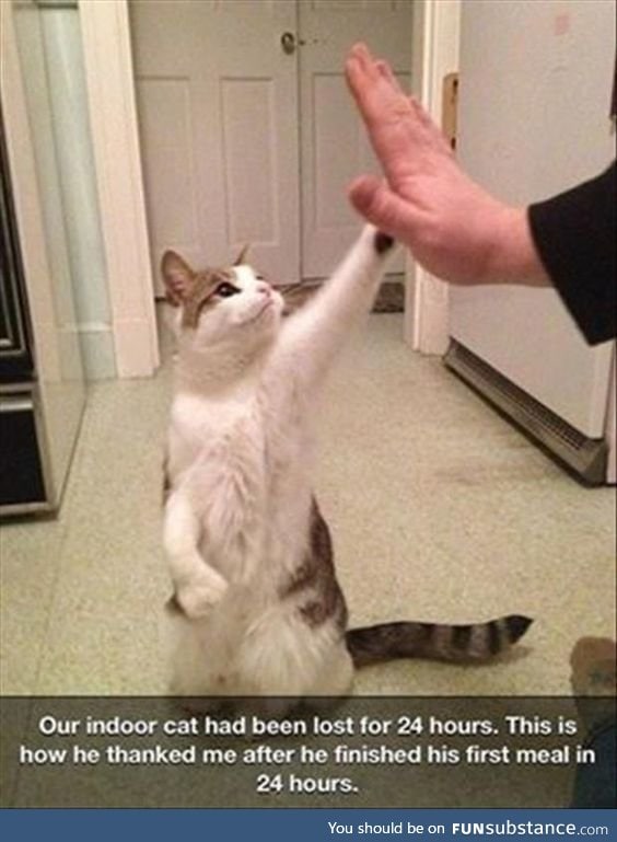 High Five