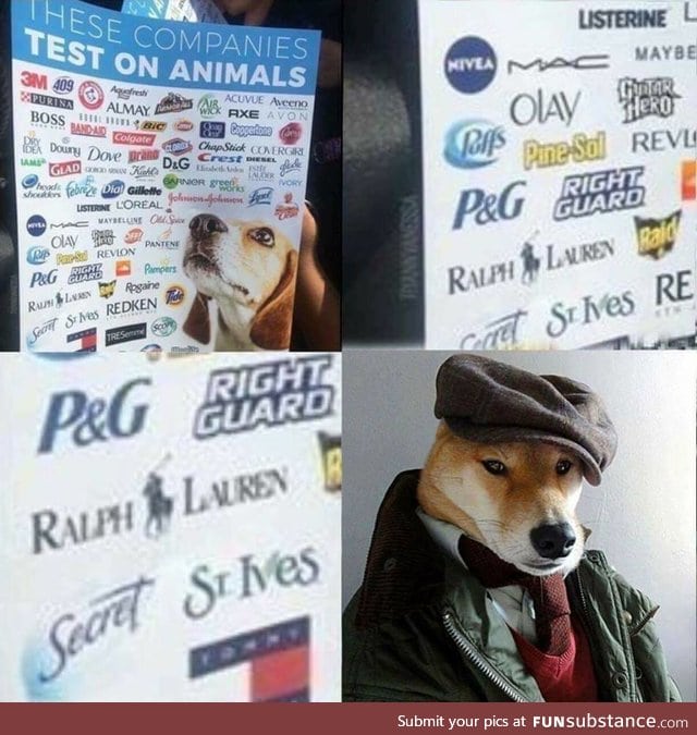 Always keep your doggo looking fresh