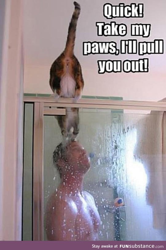 Let me save you human