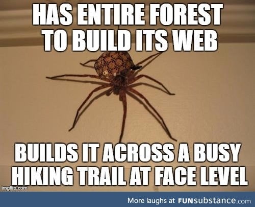 After hiking this morning, I remembered how much I hated spiders