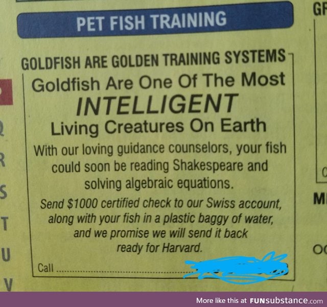 Seems legit