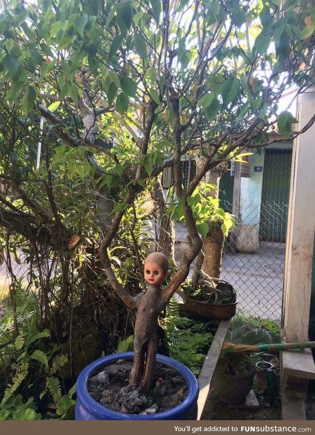 My fb has weird things... part 115: Annabelle enjoys some gardening