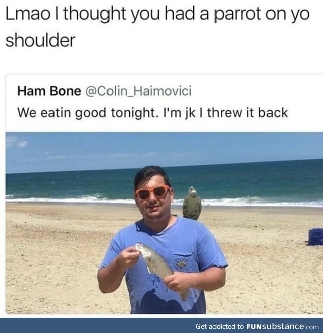 If it's no a parrot then what is that?