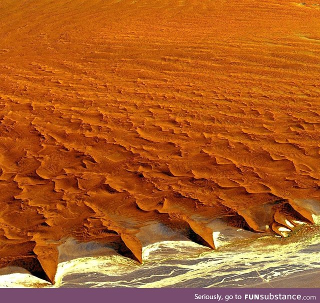 Where the Namibian desert meets the ocean