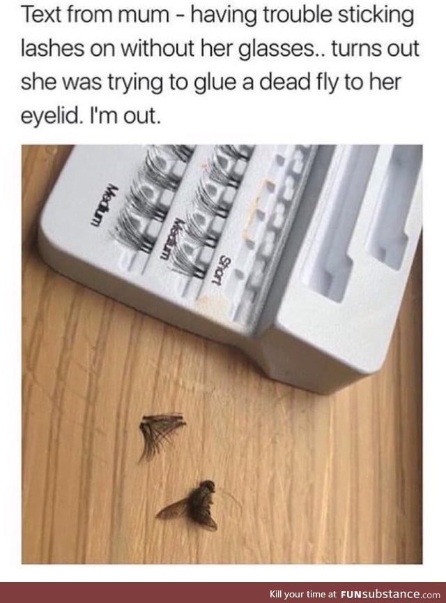 Using dead flies for eyelashes