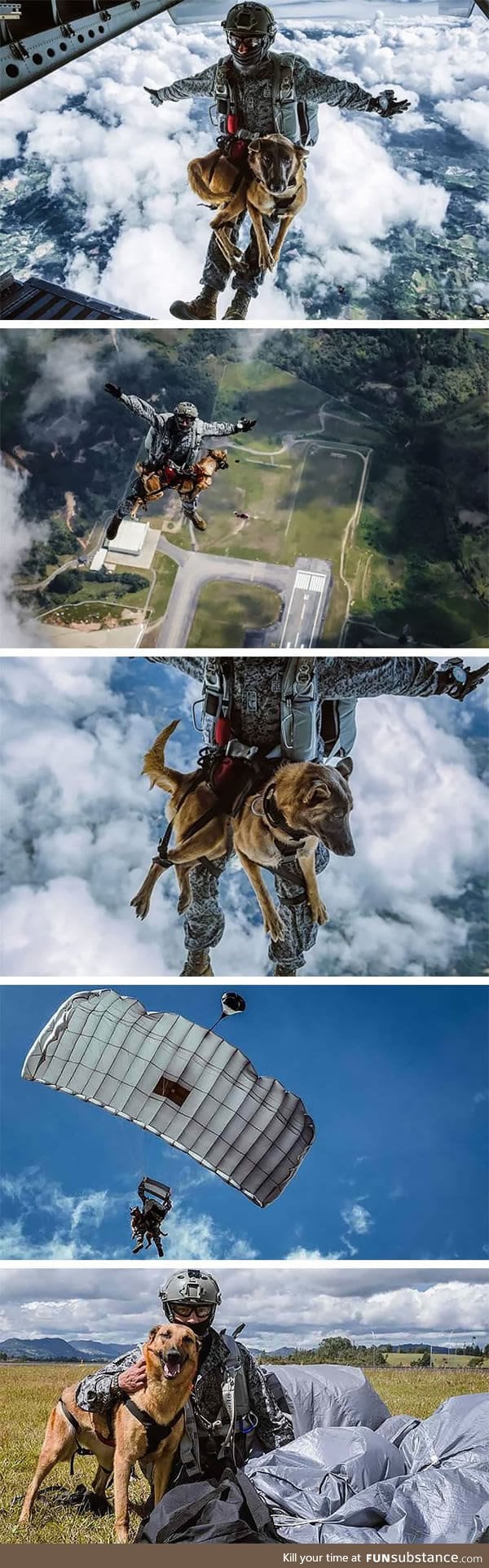Colombian daredevil dog skydives for military training