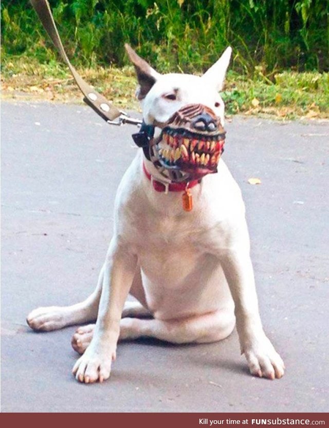 Neighbor says your dog is scary and needs a muzzle? Not a problem