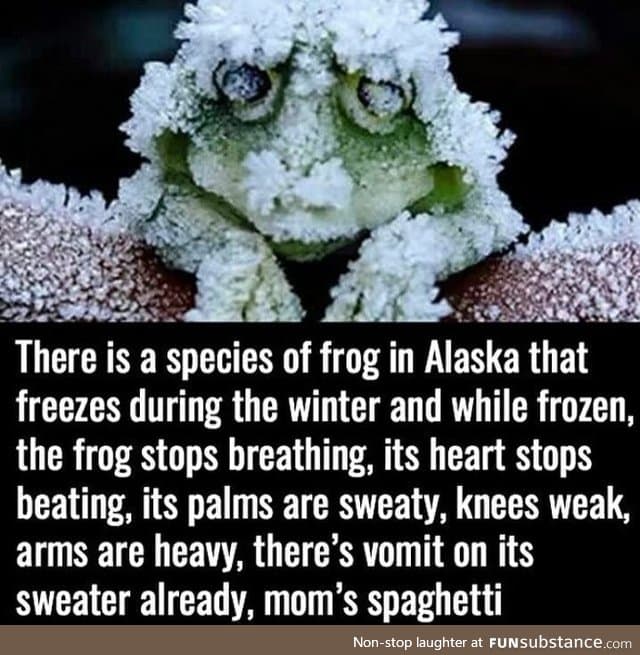 Fascinating!