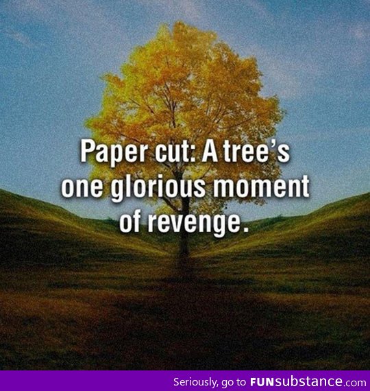 A tree's revenge