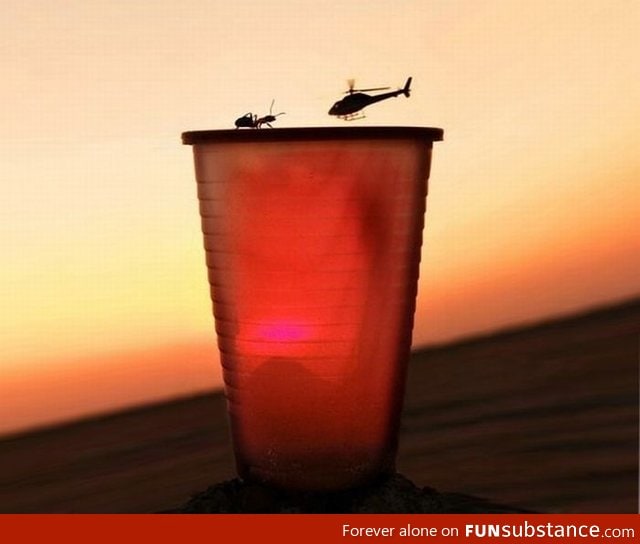 Helicopter vs Ant