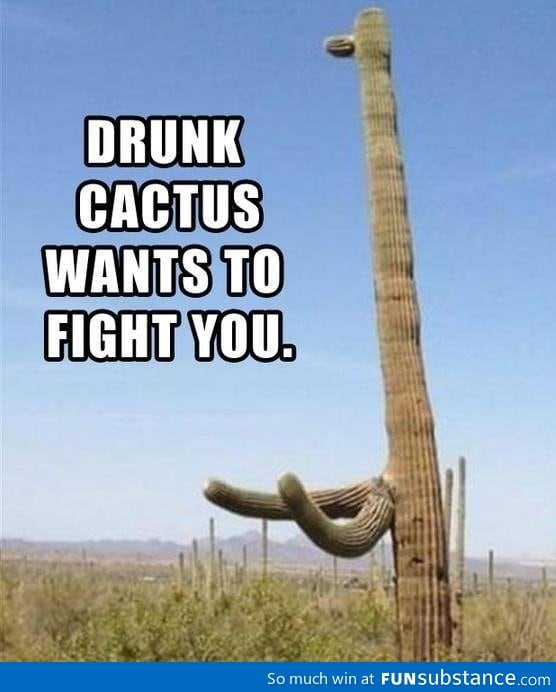 Go home cactus, you're drunk