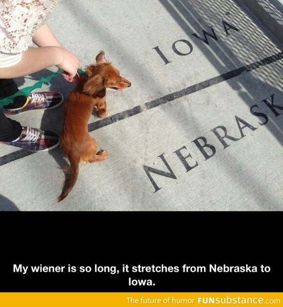 My wiener is so long