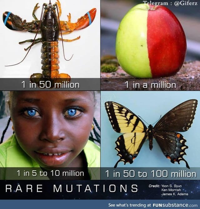Some rare mutation in the world