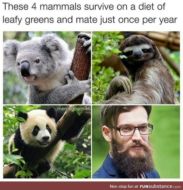 I belong to the same species