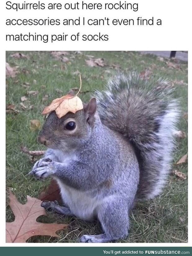 Too broke to buy a leaf