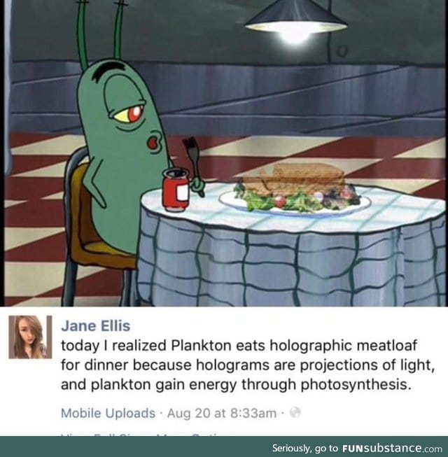 plankton