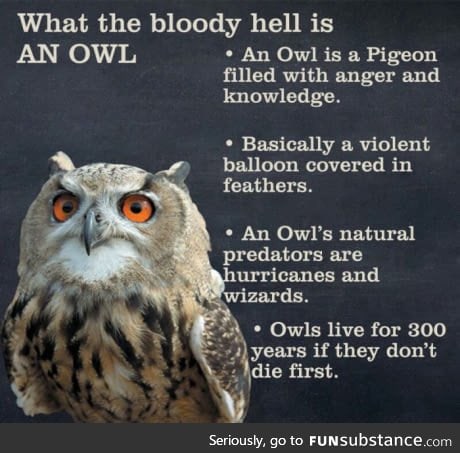 Sources of evil