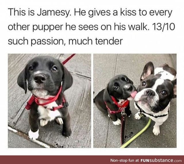 Much cute